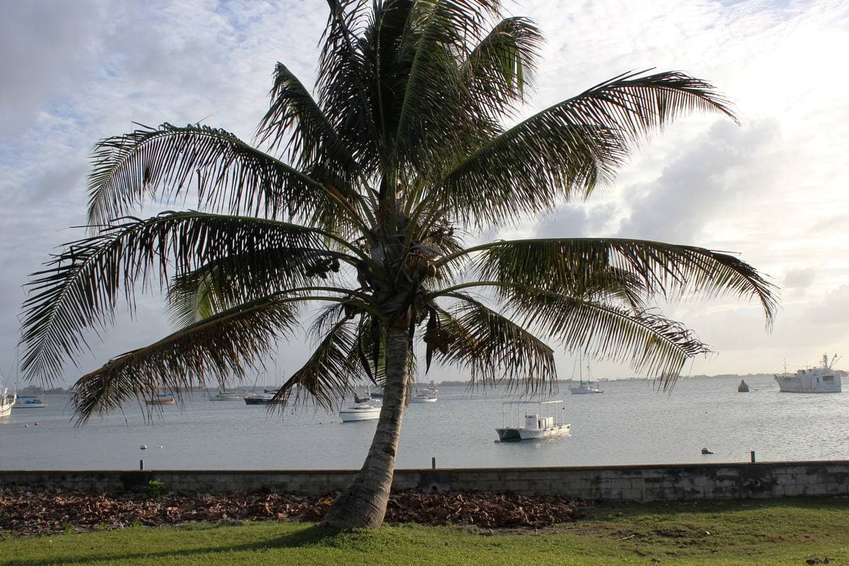 Majuro Atoll